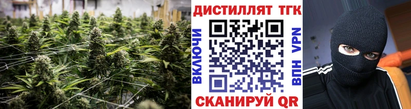 где купить наркотик  Зеленоградск  ТГК вейп с тгк 