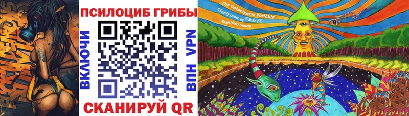 Псилоцибиновые грибы мицелий  закладка  Зеленоградск 